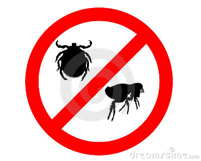 prohibition-sign-fleas-ticks-9826618